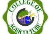 Edo State College