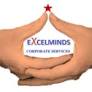 Excelminds