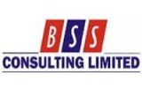 Bss Consulting