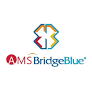 Ams Bridge