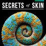 My Secrets Of Skin